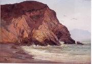 Henry Otto Wix Rocky Coast with Birds Germany oil painting artist